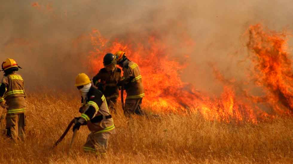 Ayuda de bomberos para apagar el Incendio Forestal en la Amazonia Peruana 2024, San Martín.